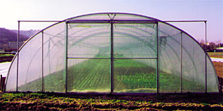 Starrer Giebel mit 2-flg. Schiebetür 3,50 br. x 2,80 m h.