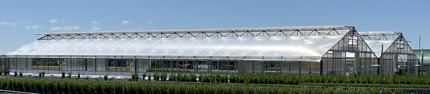 Thermohaus 2-schiffig 2 x 12x44 m, Stehwand 2,40 m, 1 flg. Dachlüftung